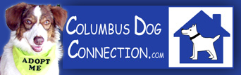 Click here to visit www.ColumbusDogConnection.com