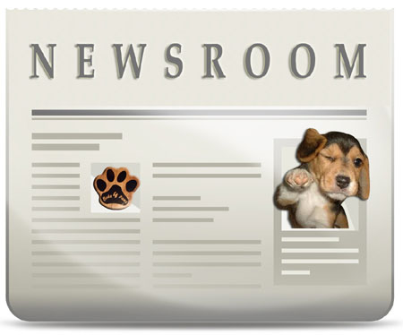 Visit our Newsroom and stay up to date